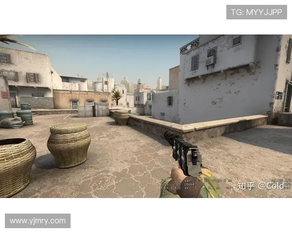 CSGO战术解析：深入探讨LNG在阵地战中的策略与执行