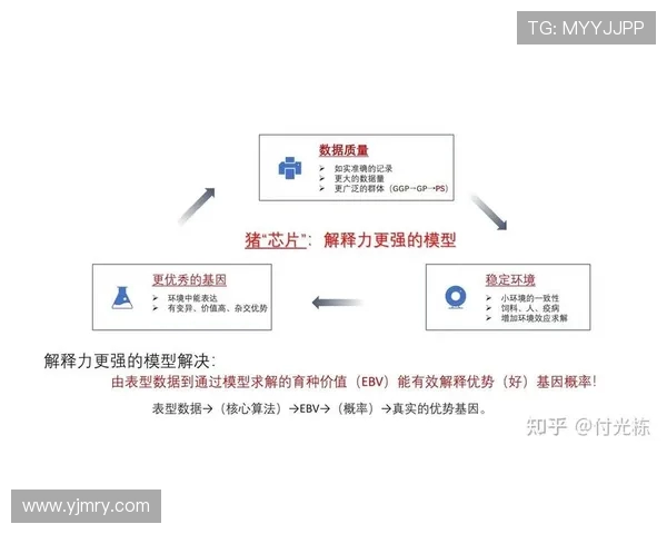 南京排球队在大师赛中的团队协作表现分析与启示