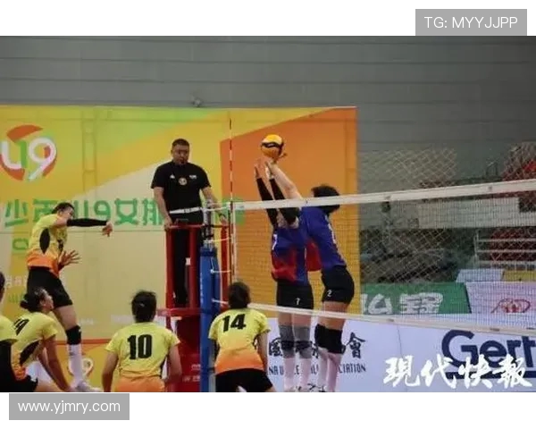 南京排球队荣登全国排球技术排行榜第一名引发热议