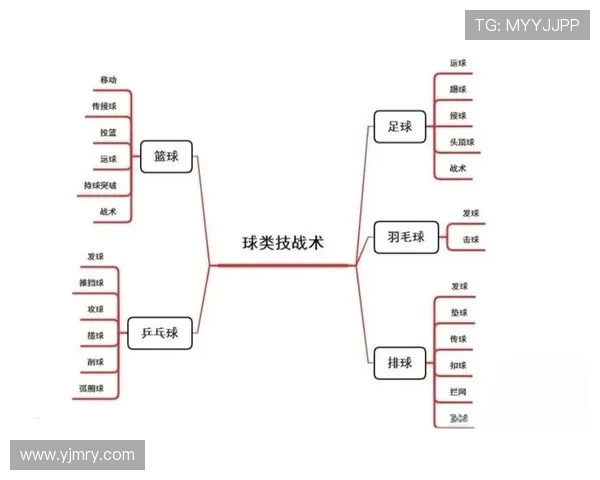 杭州篮球队战术变革引发热议新策略如何助力球队崛起与发展