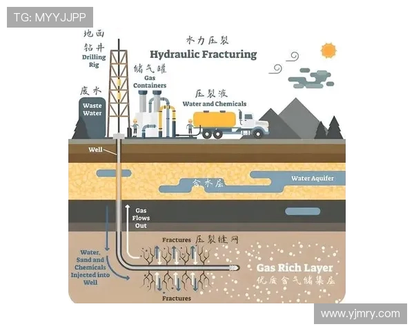 独家深度解析：液化天然气技术对比及未来发展趋势分析