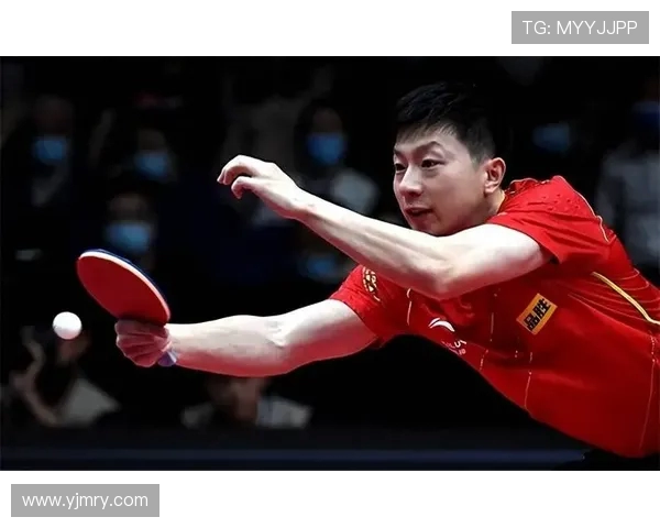 马龙与林高远在卡塔尔的巅峰对决引发乒乓球界热议