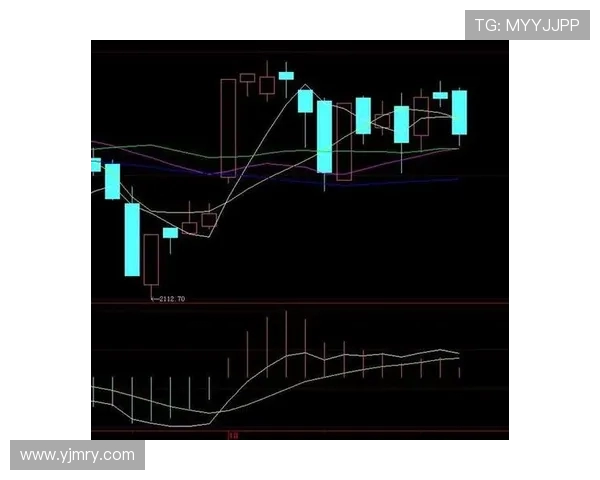 武汉网球队防守策略分析及其在比赛中的成败得失探讨